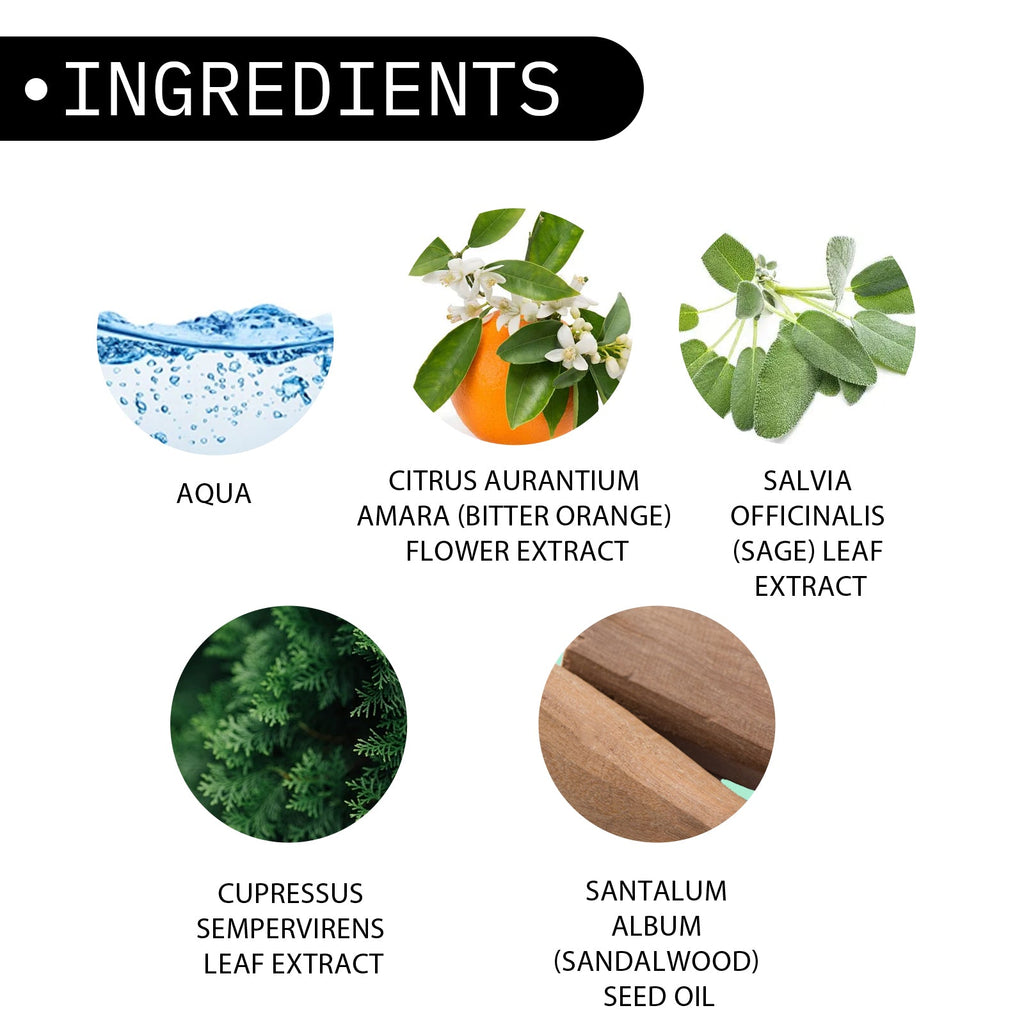 Roxelis Men's Perfume Body Fragrance Light Natural Dating Atmosphere Long-lasting Charm Niche Perfume