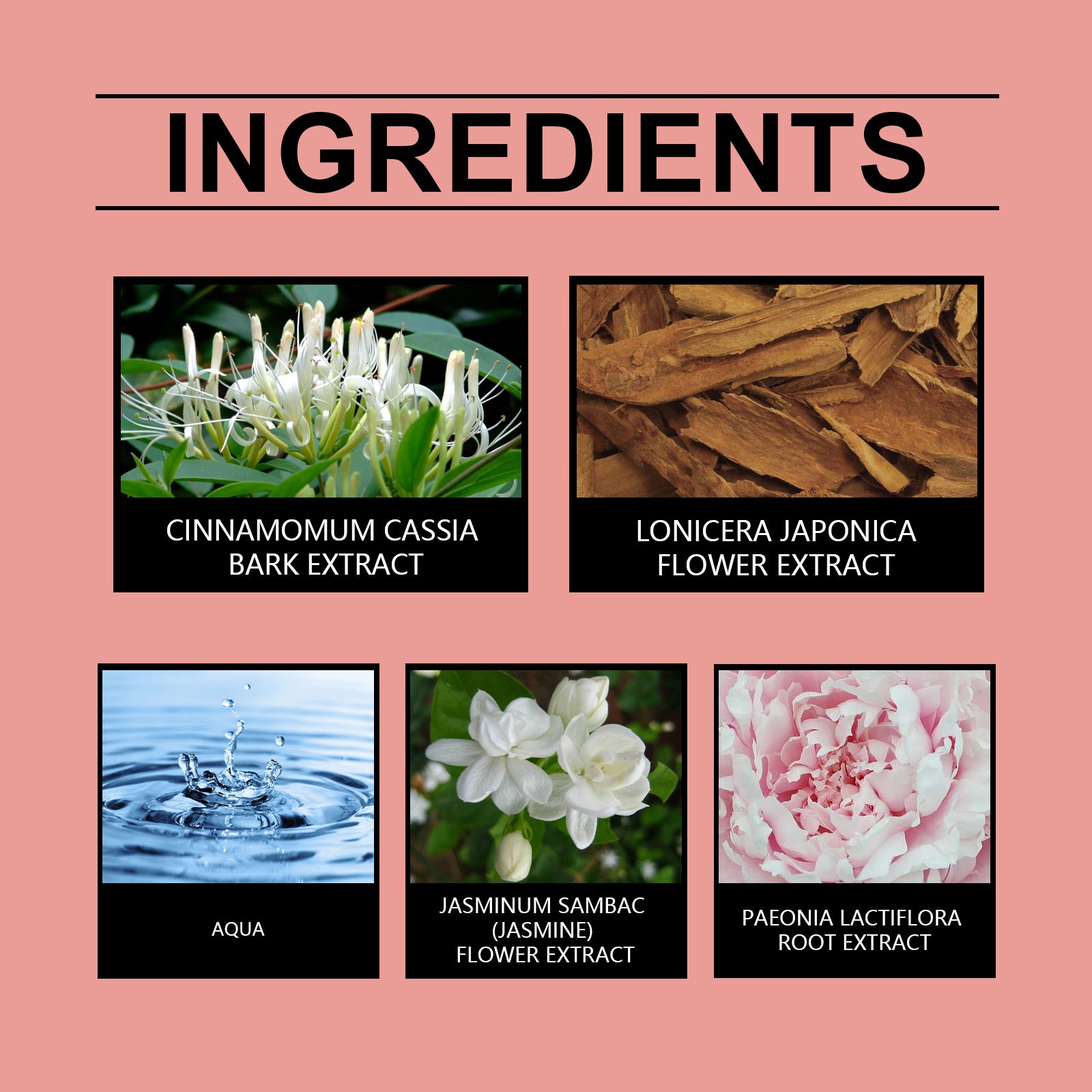 Roxelis Floral Perfume Spray Men's Perfume Long-lasting Cologne Jasmine Perfume Natural Fresh Charm Portable Fragrance