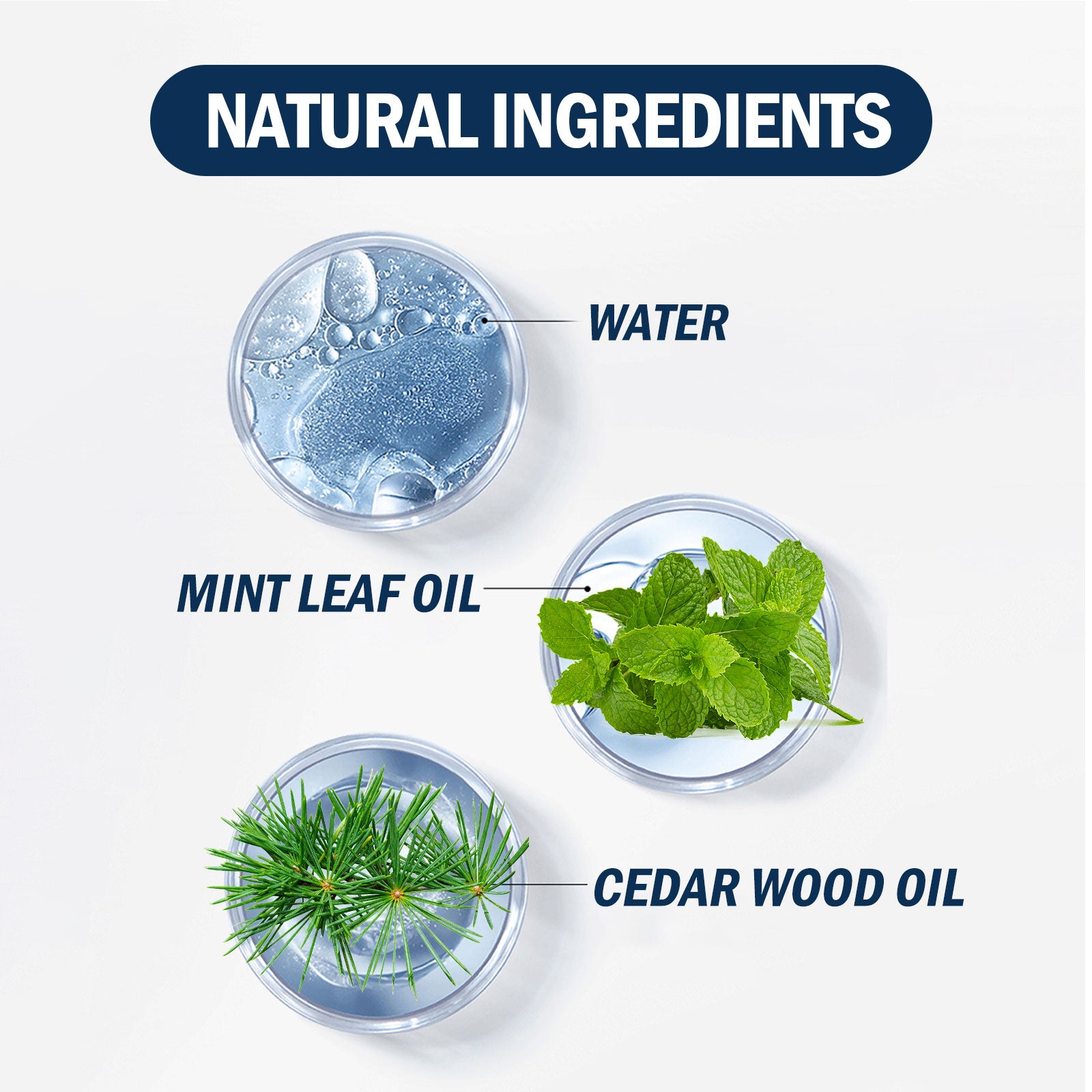 East Moon Men’s Deodorant Body Cream