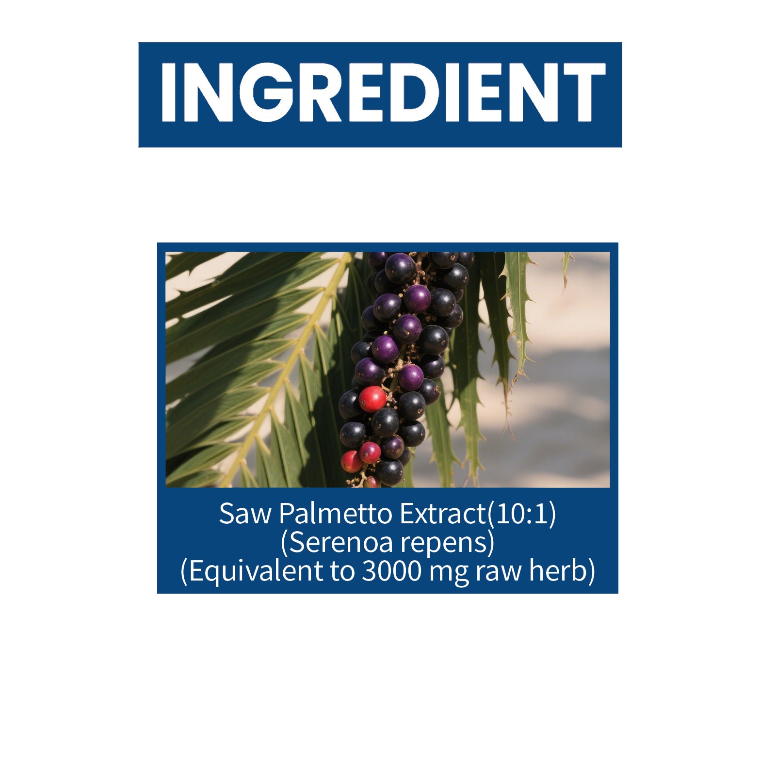 Googeer Prostate Complex Drops