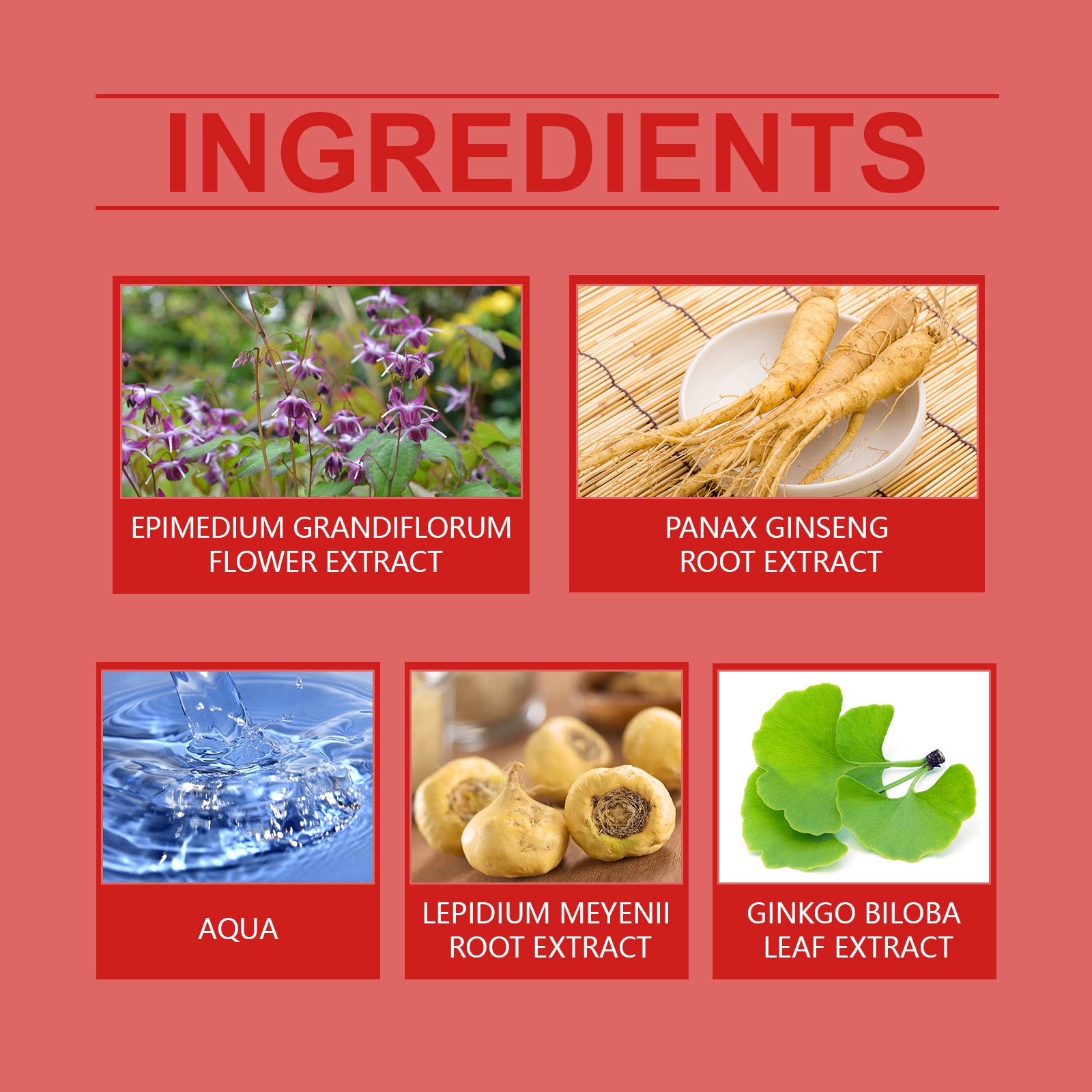 North Moon Herbal Oil for Male Care