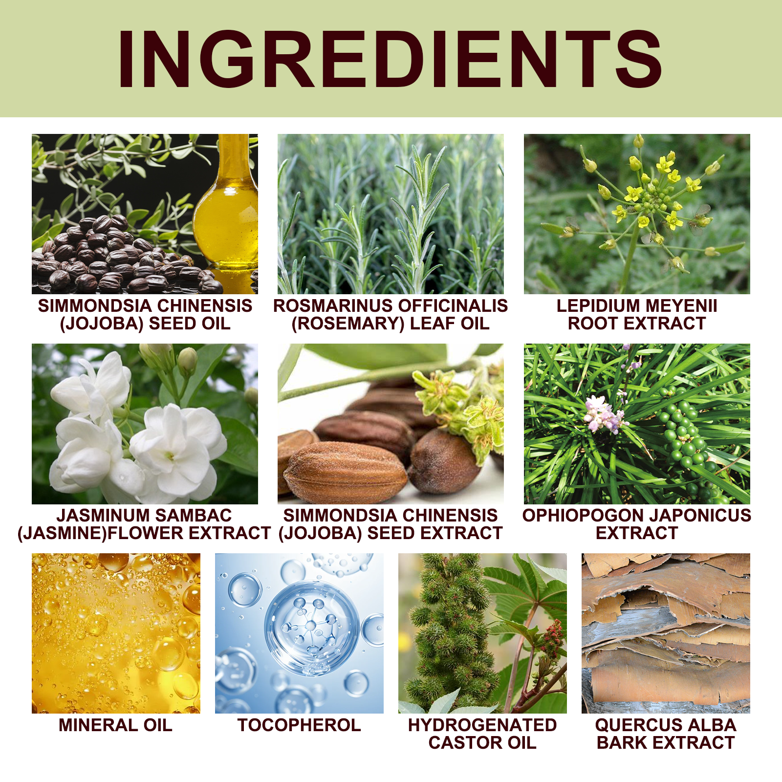 South Moon Men’s Vitality Essential Oil